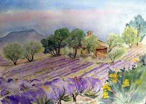 Drôme provençale 40x50