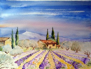 Haute Provence 40x50