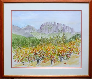 Les Dentelles de Montmirail 40x50