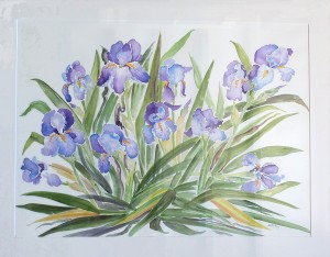 Les iris 76x60