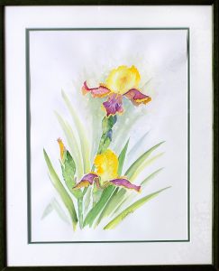 Iris jaune 40x50